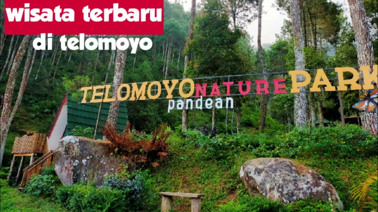 Telomoyo Nature Park: Pesona Alam yang Menawan di Jawa Tengah